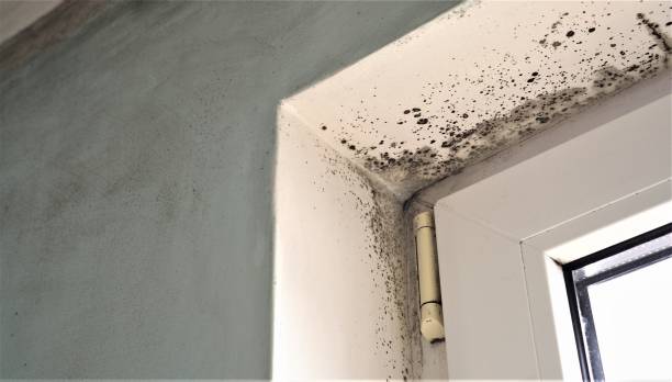 Best Indoor Air Quality Assessment  in San Marino, CA