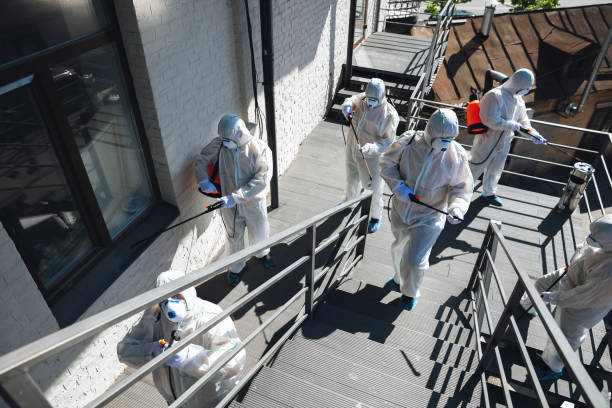 Best Forensic Mold Investigation  in San Marino, CA