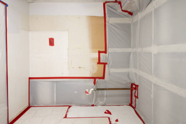 Best Dehumidification Services  in San Marino, CA