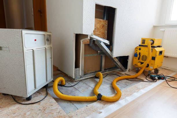 Best Comprehensive Air Testing for Mold Contaminants  in San Marino, CA